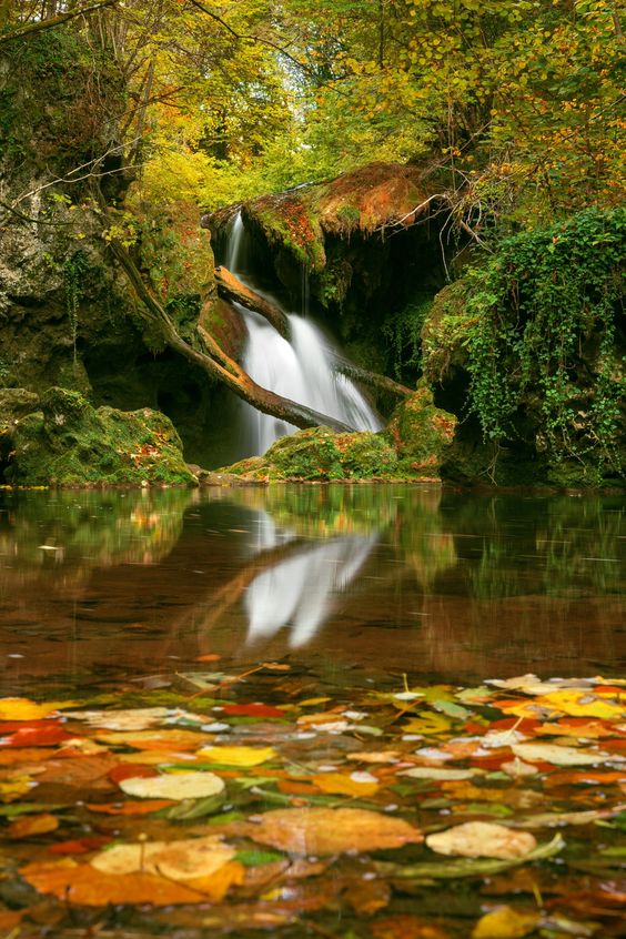 168ccdf78683c142fac9a83219e1ecf0