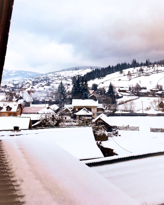 49f4e6d472fd7cb77d2bd089bea56c0c