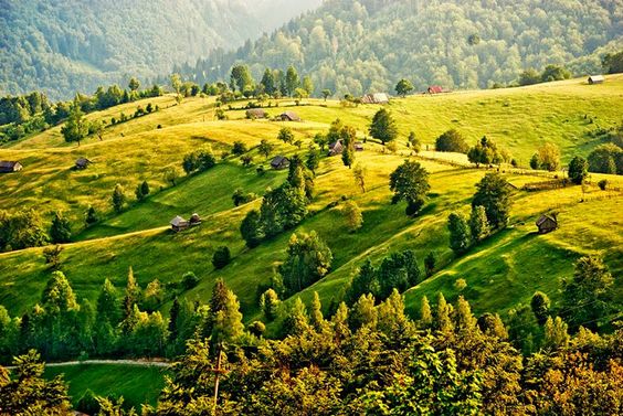 7093f88750c8b3449713ad7e6970f230