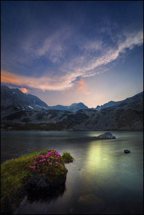 c7e65aaf75804bcd5c7a51839d07b9e2