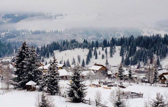 cb65f0c7d947d5781690ccfd66996f5b