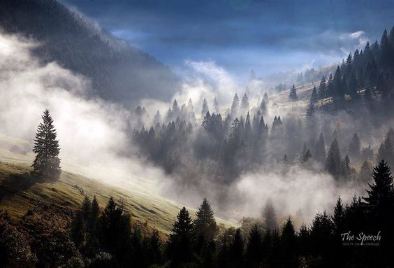 e83af9cefb0cf647bd0b1107c276784b