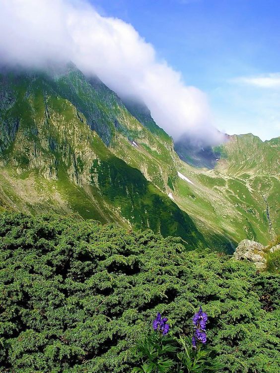 efb582f5d2c4ea3327ad26a2c323e431