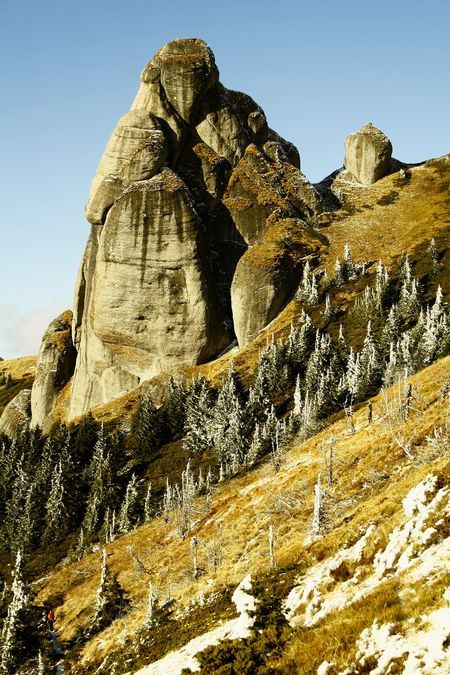 f4be53c058607bf4e54fc8860399d280