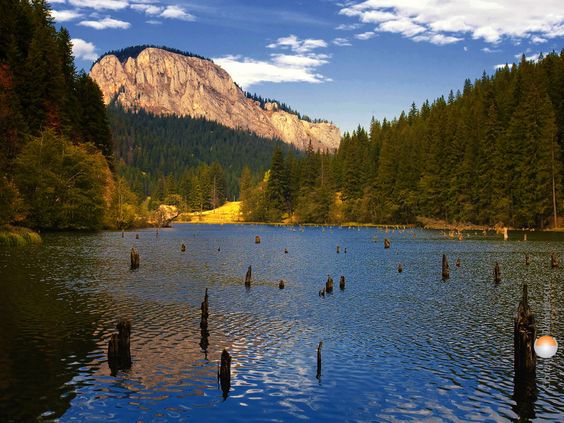 fb140a68a567994b3ab6df946c8302fa