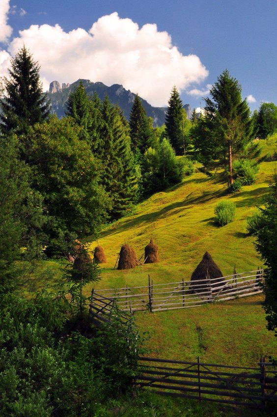 fe8f19c644eb075aa7767de1661b8f85