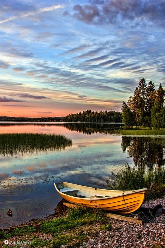 bce38bbfa3645229a93fe57fe41f5967