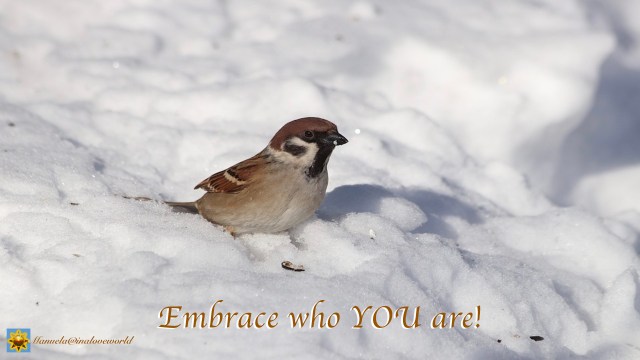 embrace who you are.001