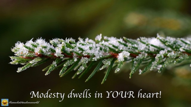modesty.001