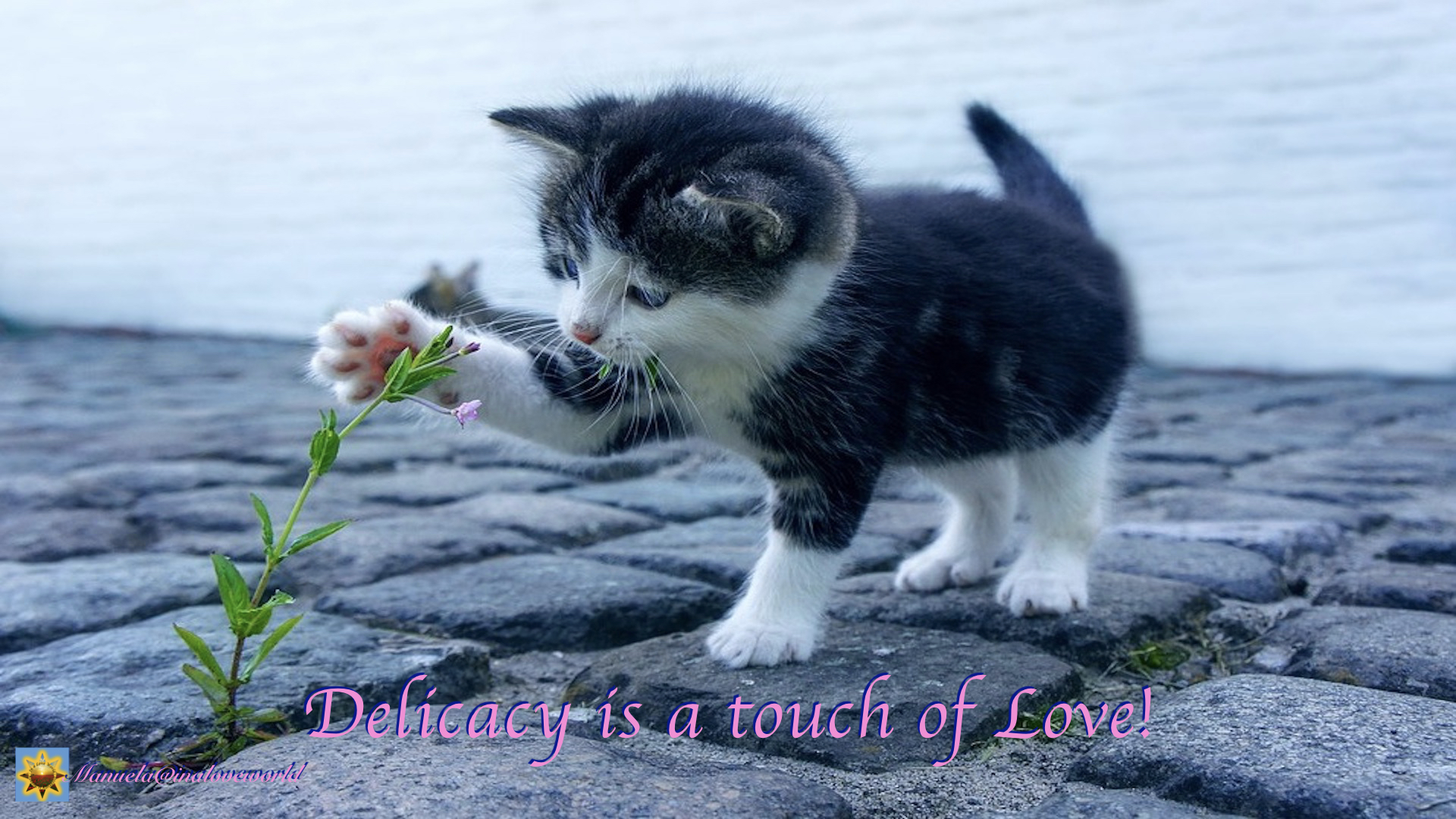 touch of love.001