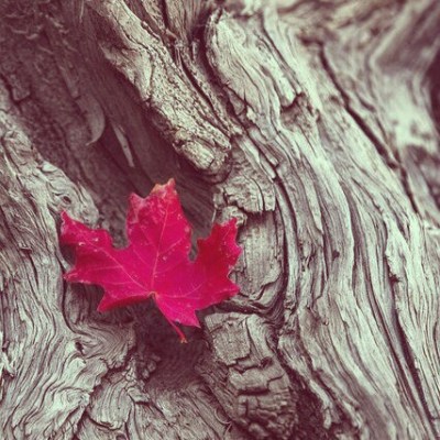 1_aqo9547GpRcxxspJNC4SWA@2x