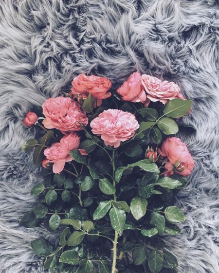 1_UncixXcsTpQr493rucUT5w@2x