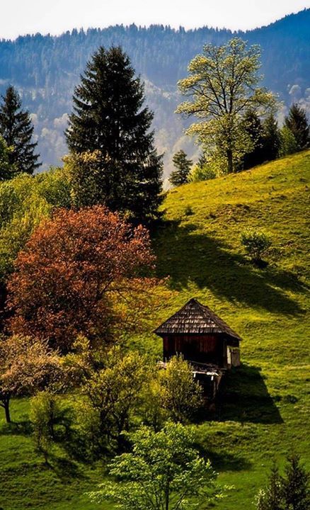 3e1755910ee895d357a44bf922f1b191