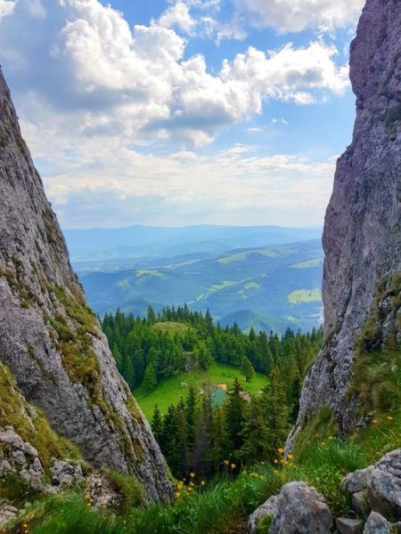 5df8d9c0507b0a919d88b03ba839d9bf