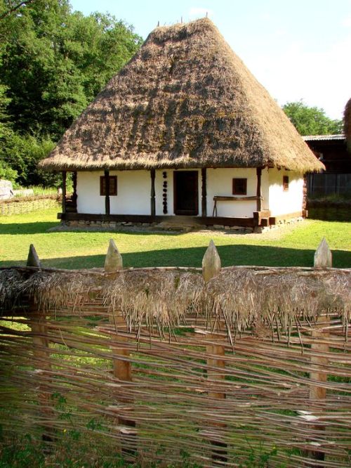 6a59613638a203f731981fd317f92e4f