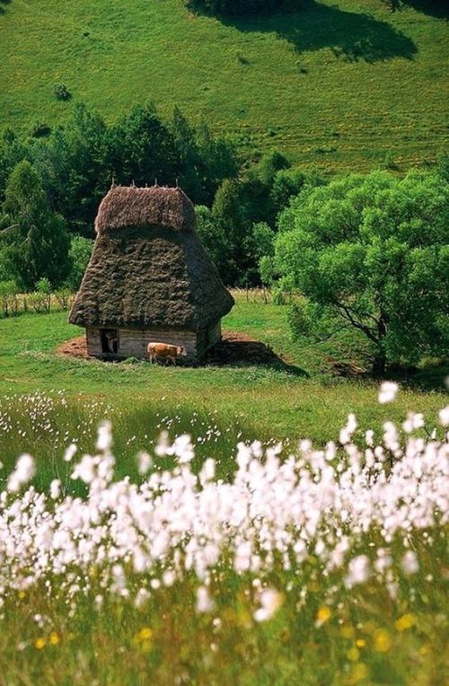 6f3076ea3332ab8bdf03b592617f8540