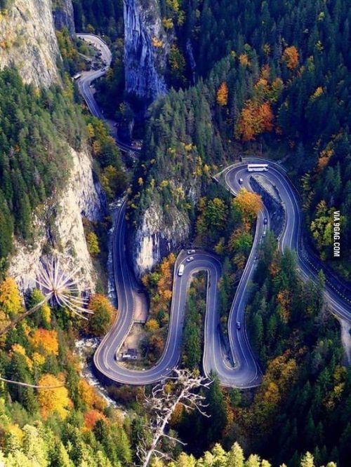 83491d6e20913d302f961ef4f536f525