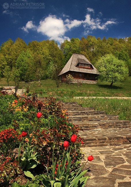 8884a62fd9033fbe1115bcbd52b909fd