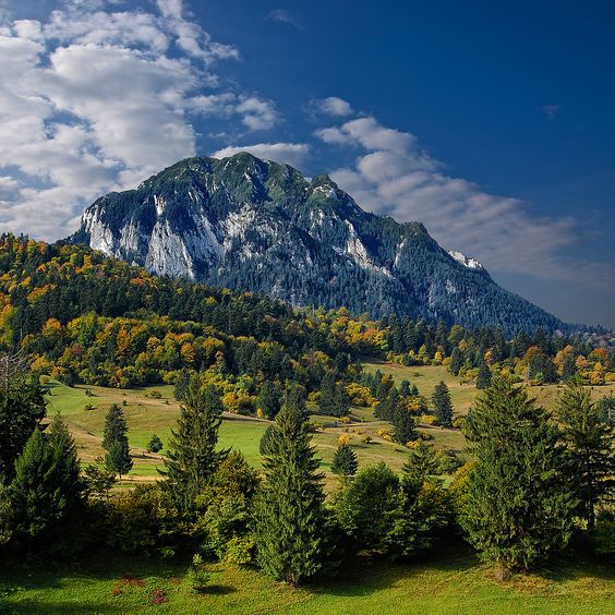 ad8f61ad6c857c4a06ced3d03ecc820c