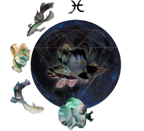 pisces-new-moon