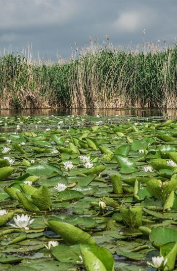 6e1dbf29176a2869311b0062e716ad56