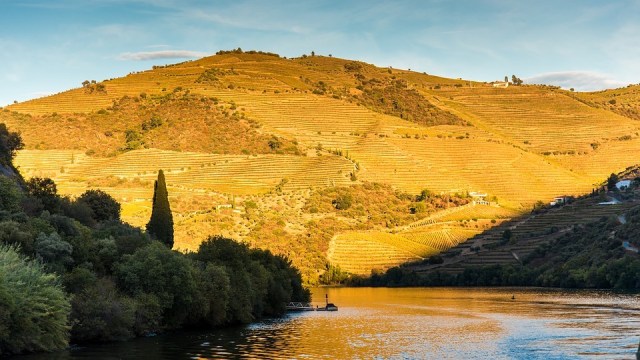 douro-2989559_960_720