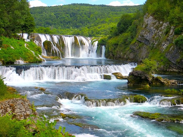 srtbacki-abdomen-3606176_960_720