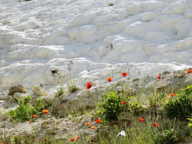 pamukkale-534531_960_720 (1)