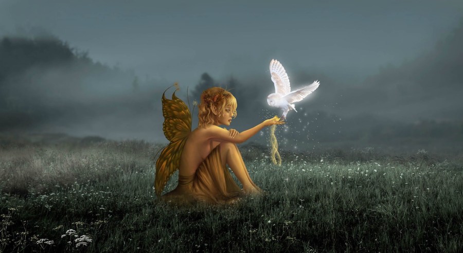 Knowledge Mins & Wisdom Soul