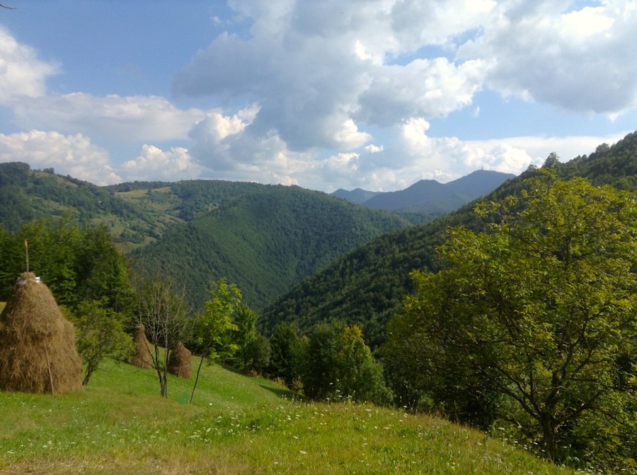 Living in Harmony with Nature