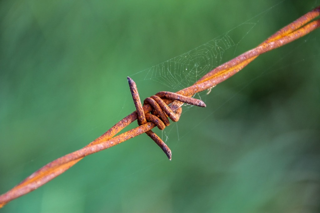 Why laughter or isolation?