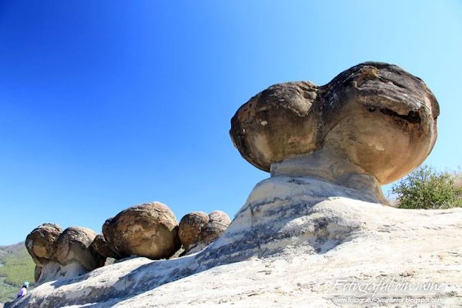 Living/ growing rocks