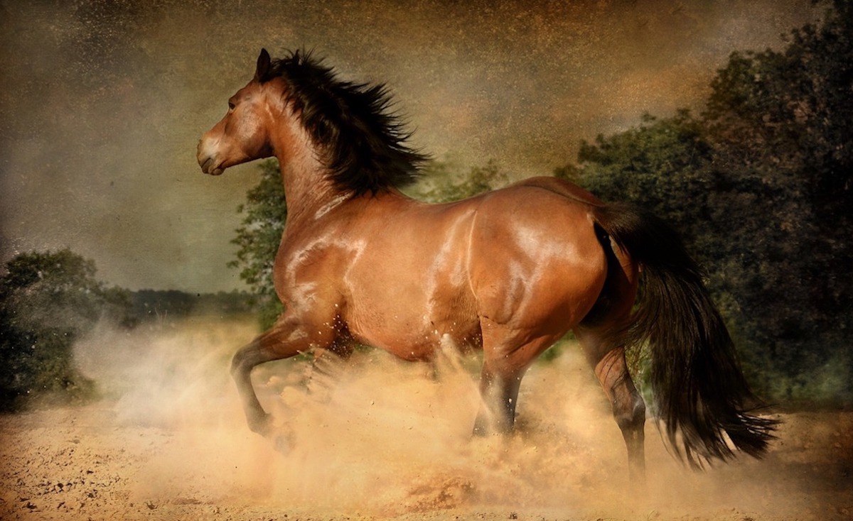 Motivational and Inspirational Movies (29)